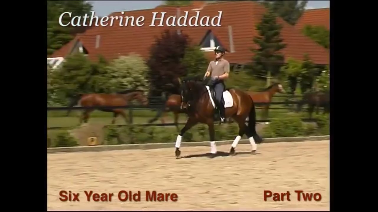 Six Year Old Mare | Catherine Haddad | PART 02
