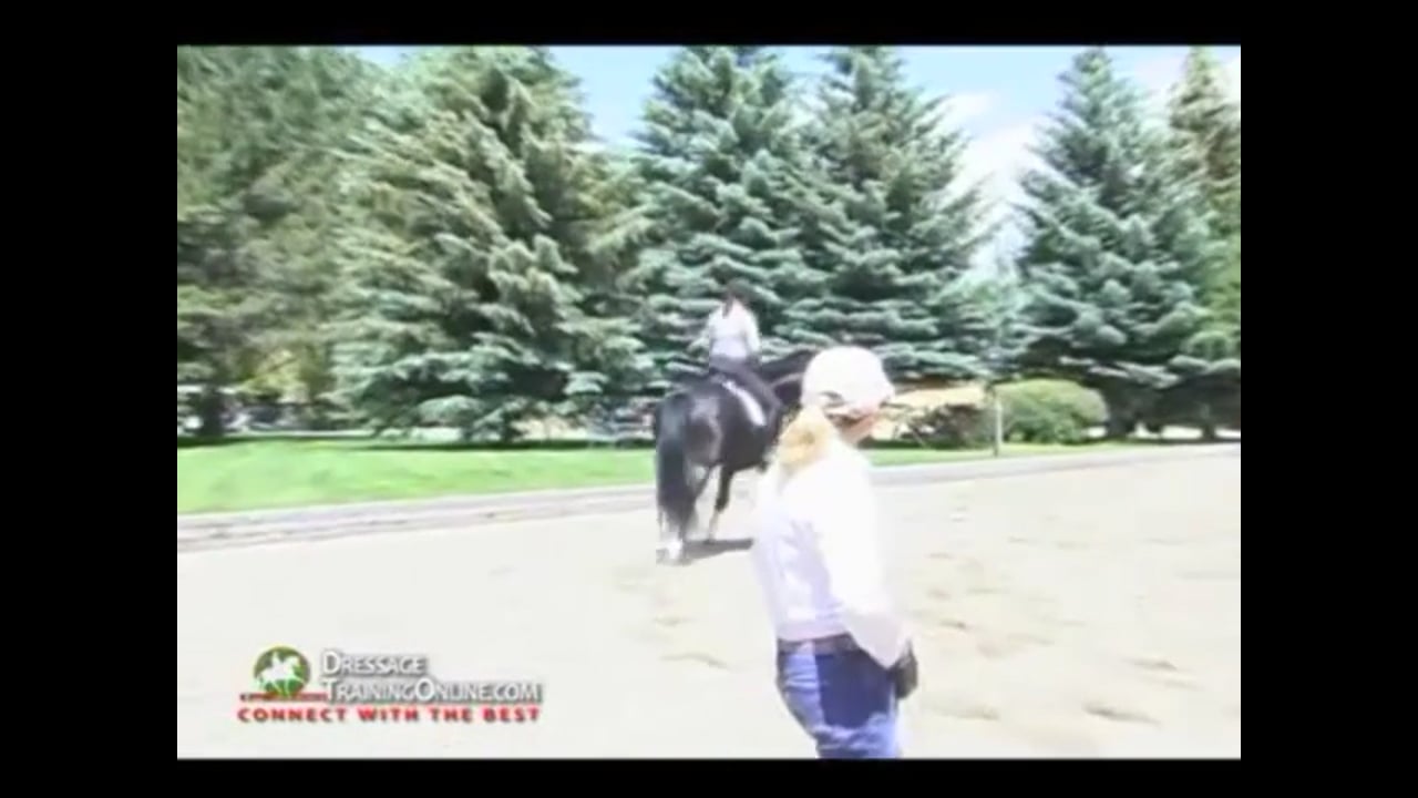 Self Carriage, Responsiveness to the Aids, Getting Activity | Debbie McDonald