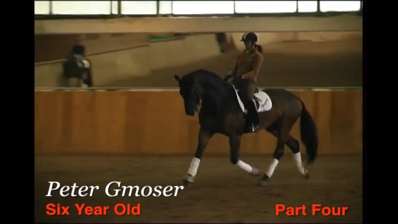 Simple Changes and Single Changes, Young Horse | Peter Gmoser | PART 04