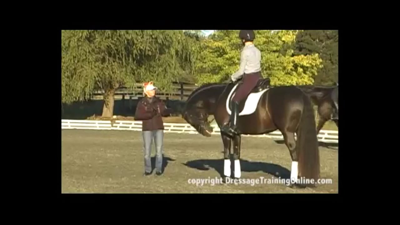 Second Level Rider Test | Janet Foy