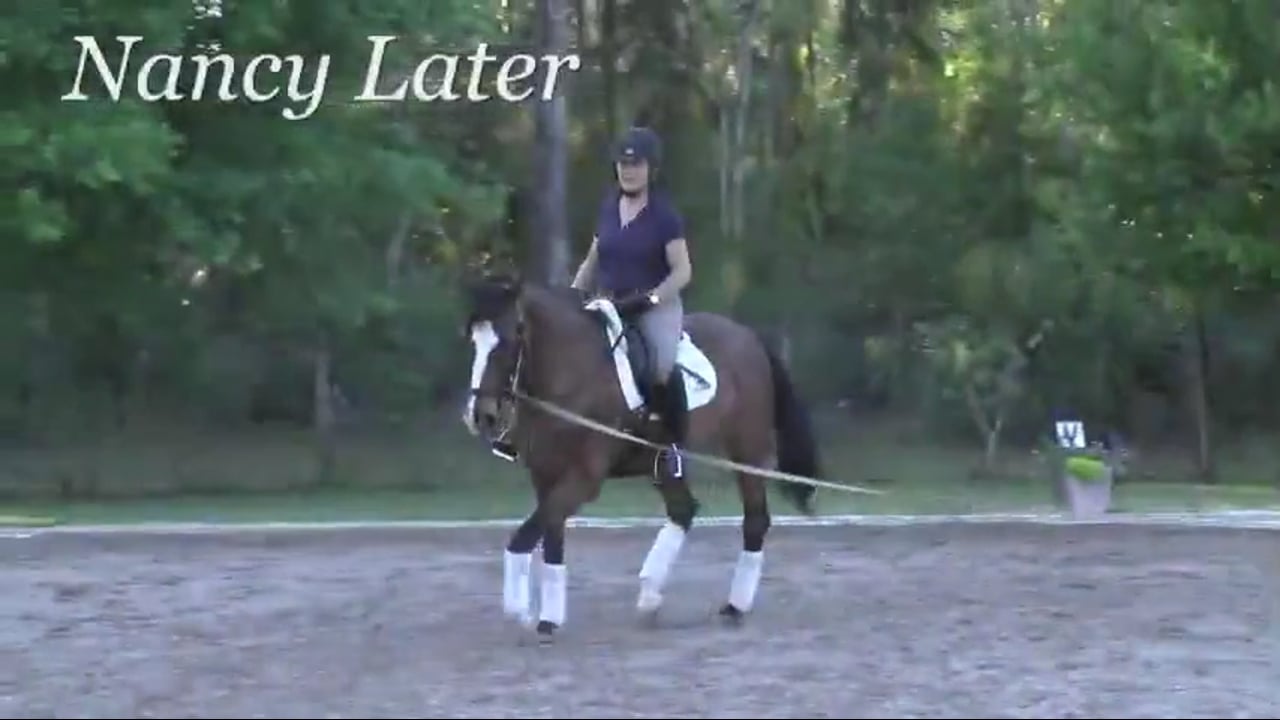 Seat and Posture, Improving Rider Position on the Lunge | Nancy Later | PART 02