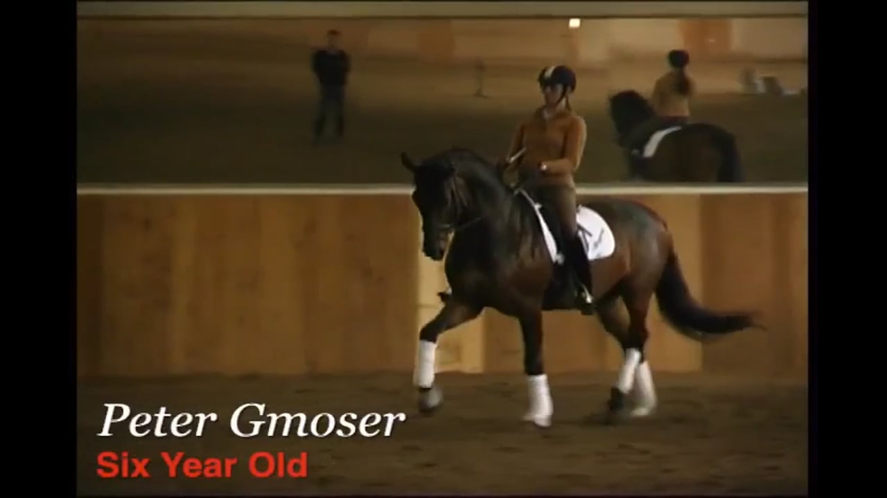 Simple Changes and Single Changes, Young Horse | Peter Gmoser | PART 05