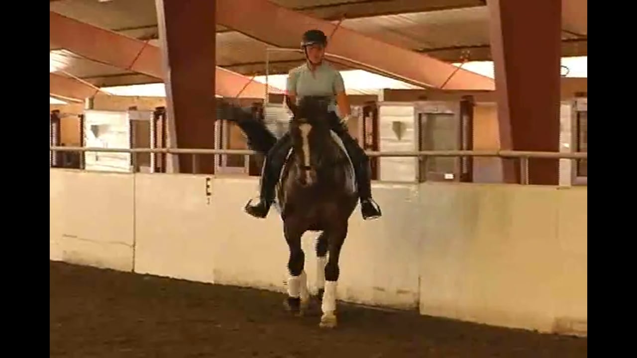 Shoulder In Work | Jim Masterson | PART 02