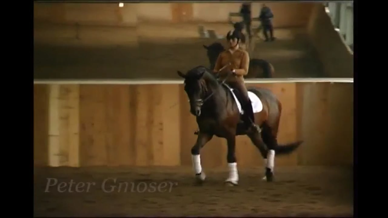 Simple Changes and Single Changes, Young Horse | Peter Gmoser | PART 02