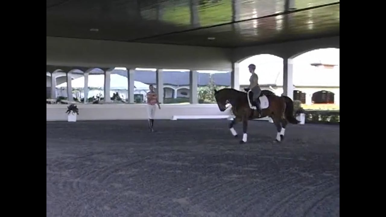 Self carriage, changes, shoulder in with Catherine Haddad