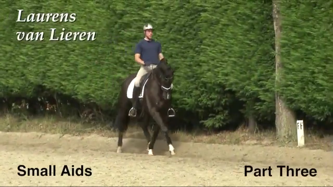 Small Aids, Counter Canter, Changes | Laurens van Lieren | PART 03