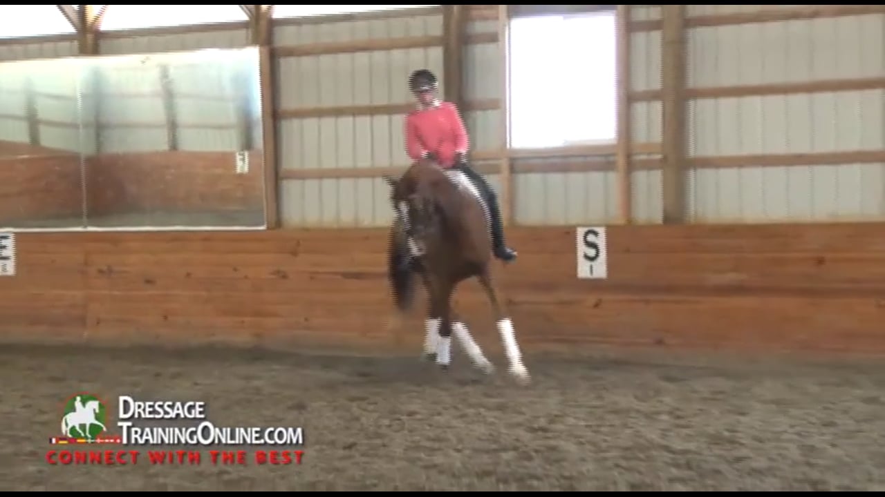Shying Spooky Horse, Attention at the Training Level | Dr. Ulf Moller | PART 03