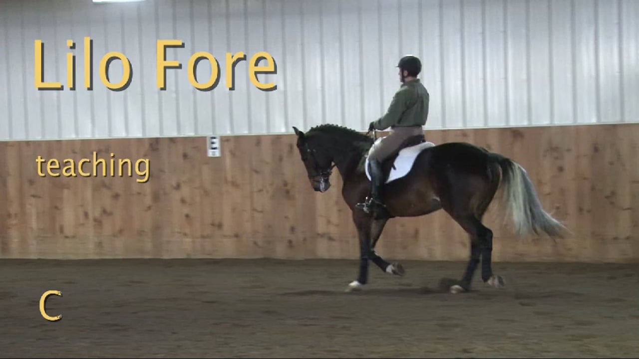 Young Dressage Horse, Training Level Basics | Lilo Fore | PART 05