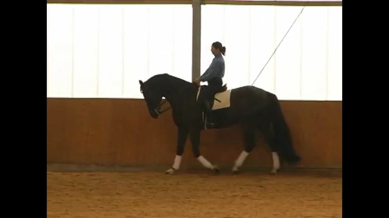 Skeletal Riding | Catherine Haddad | PART 03