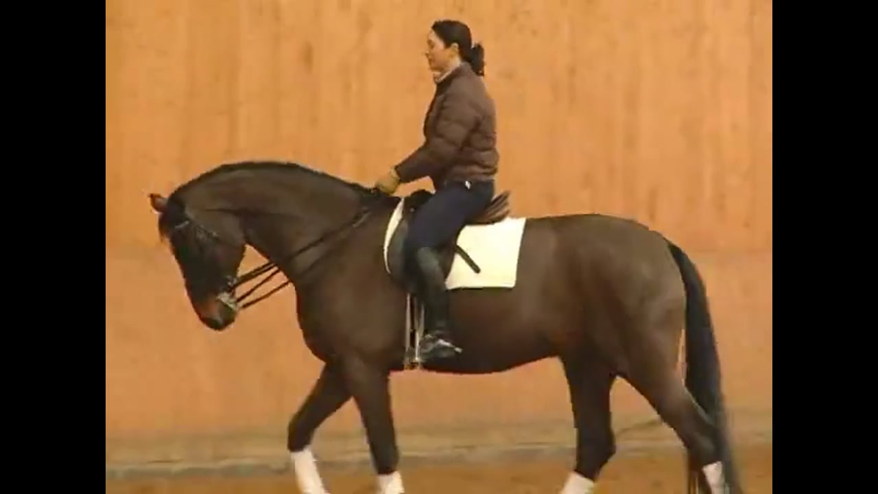 Skeletal Riding & the Influence of the Seat | Catherine Haddad | PART 01