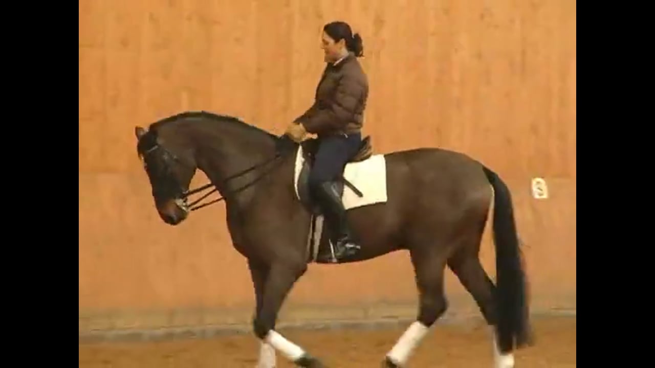 Skeletal Riding and Using Your Seat, Biomechanics | Catherine Haddad