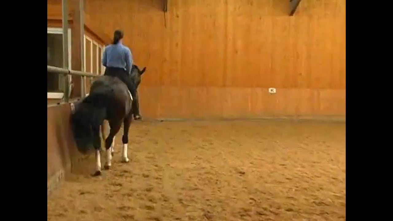 Skeletal Riding | Catherine Haddad | PART 01