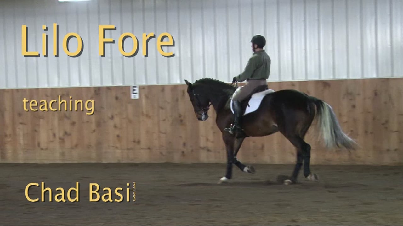 Young Dressage Horse, Training Level Basics | Lilo Fore | PART 03