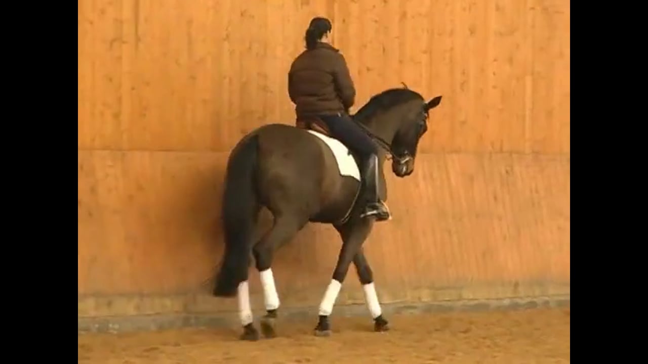 Skeletal Riding & the Influence of the Seat | Catherine Haddad | PART 03
