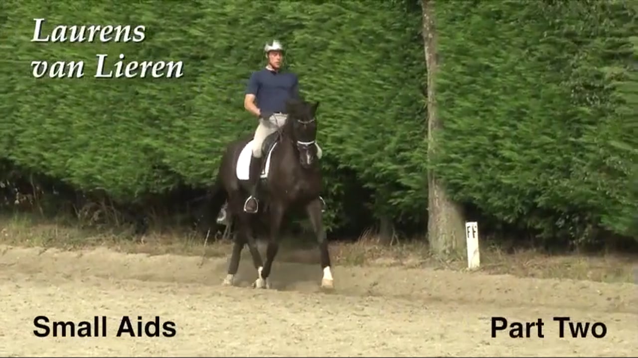 Small Aids, Counter Canter, Changes | Laurens van Lieren | PART 02