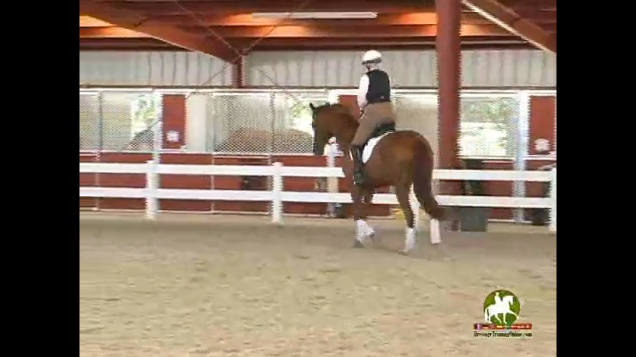 Settling Anxious Horses Over Fences | Loiuse Serio | PART 02