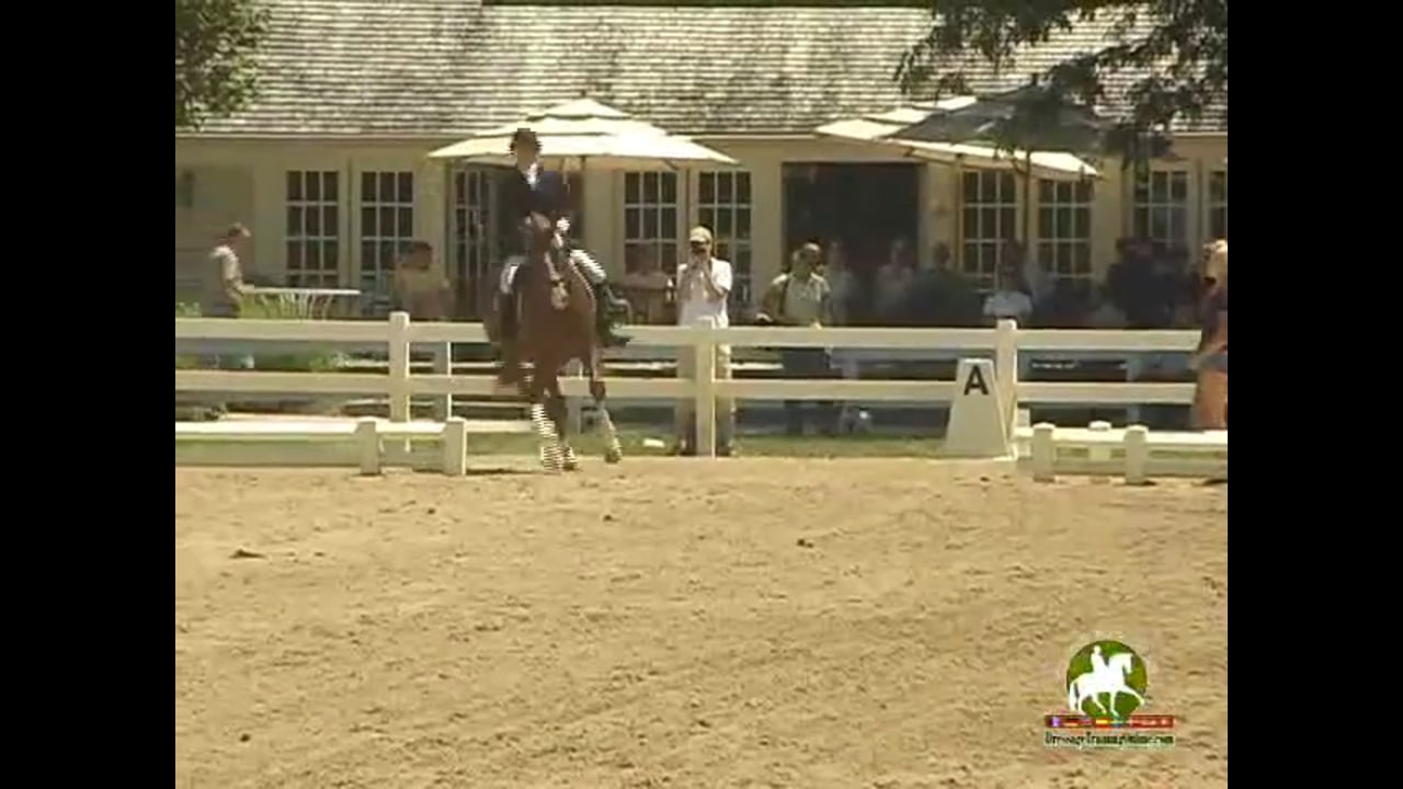 Riding Benidetto, 8.0, 8.5, 8.5, 7.8, 8.0 81.6% | Stacy Parvey-Larsson