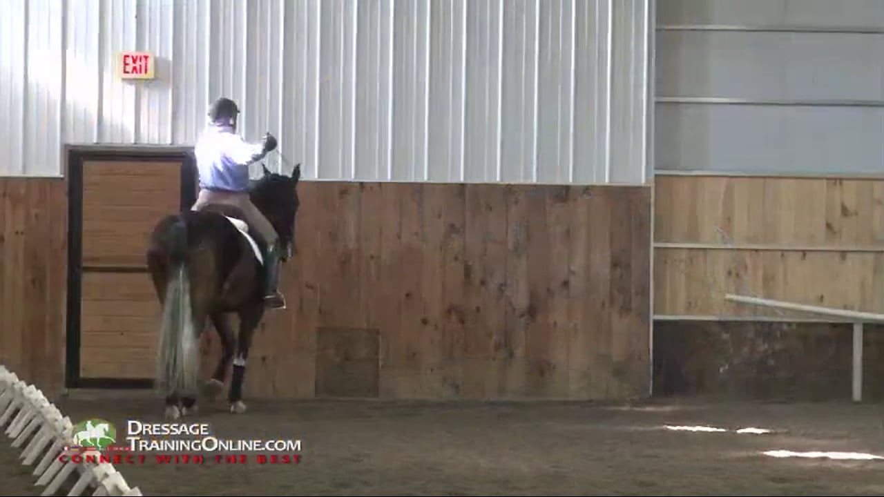 Young Dressage Horse, Training Level Basics | Lilo Fore | PART 04