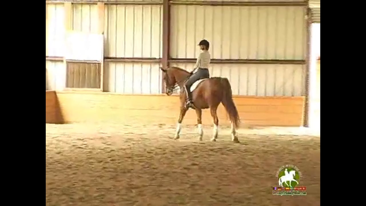 Step by step GP ride with Hilda Gurney