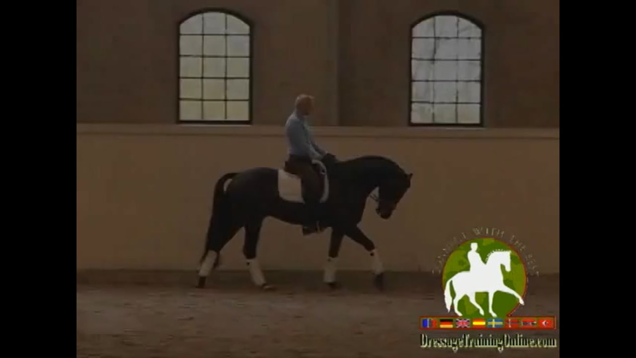 Explanation of What the Rider Needs to Control | Jan Brink | PART 03