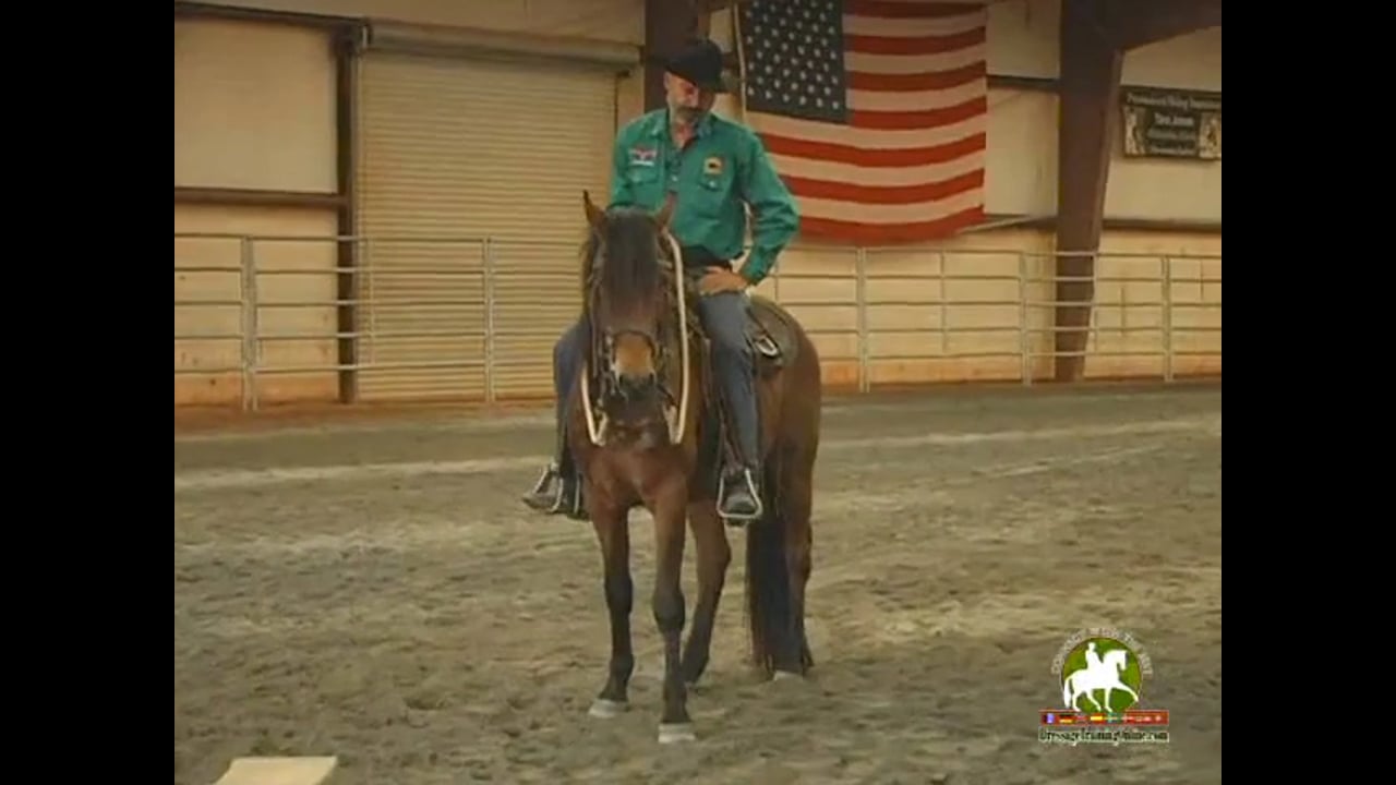 Starting the Almost Unbroke Horse | Kenny Harlow | PART 02