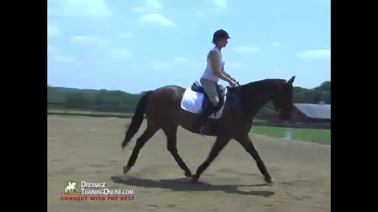 Straightness and Rider Position with Mary Wanless