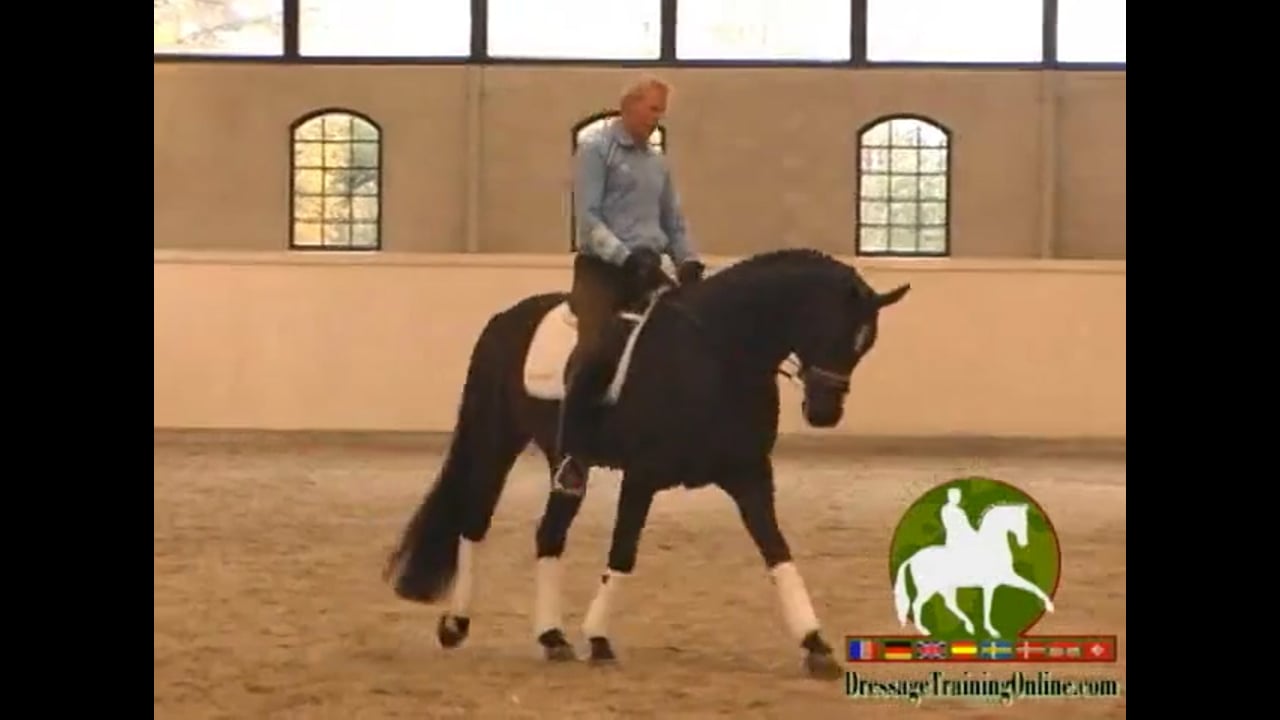 Explanation of What the Rider Needs to Control | Jan Brink | PART 02