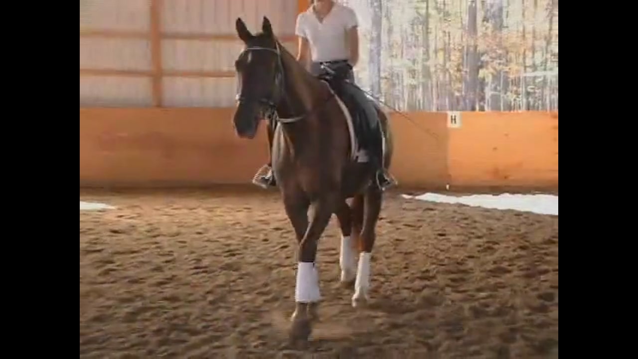 Young Horses FEI classes | Steffen Peters and Janet Foy | PART 02