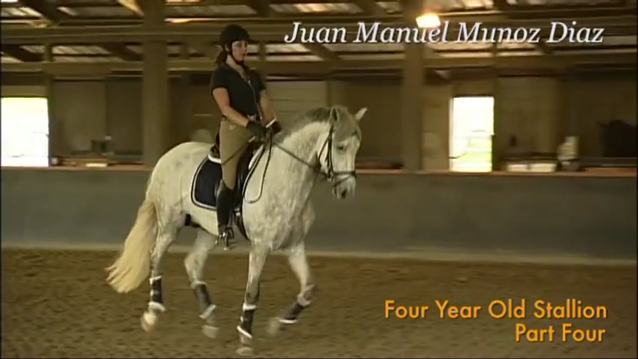 Straightness, Connection, Balance at the Training Level | Juan Manuel Munoz Diaz