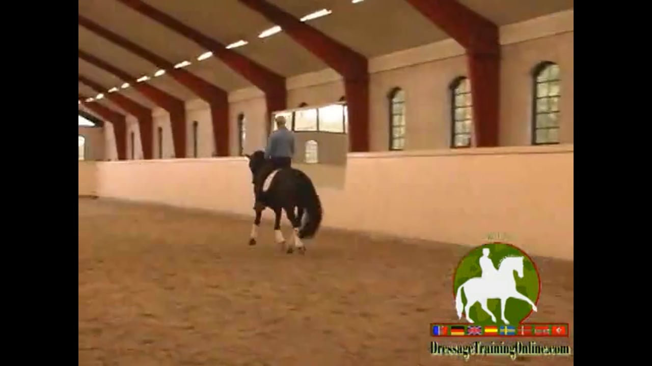 Explanation of What the Rider Needs to Control | Jan Brink | PART 01