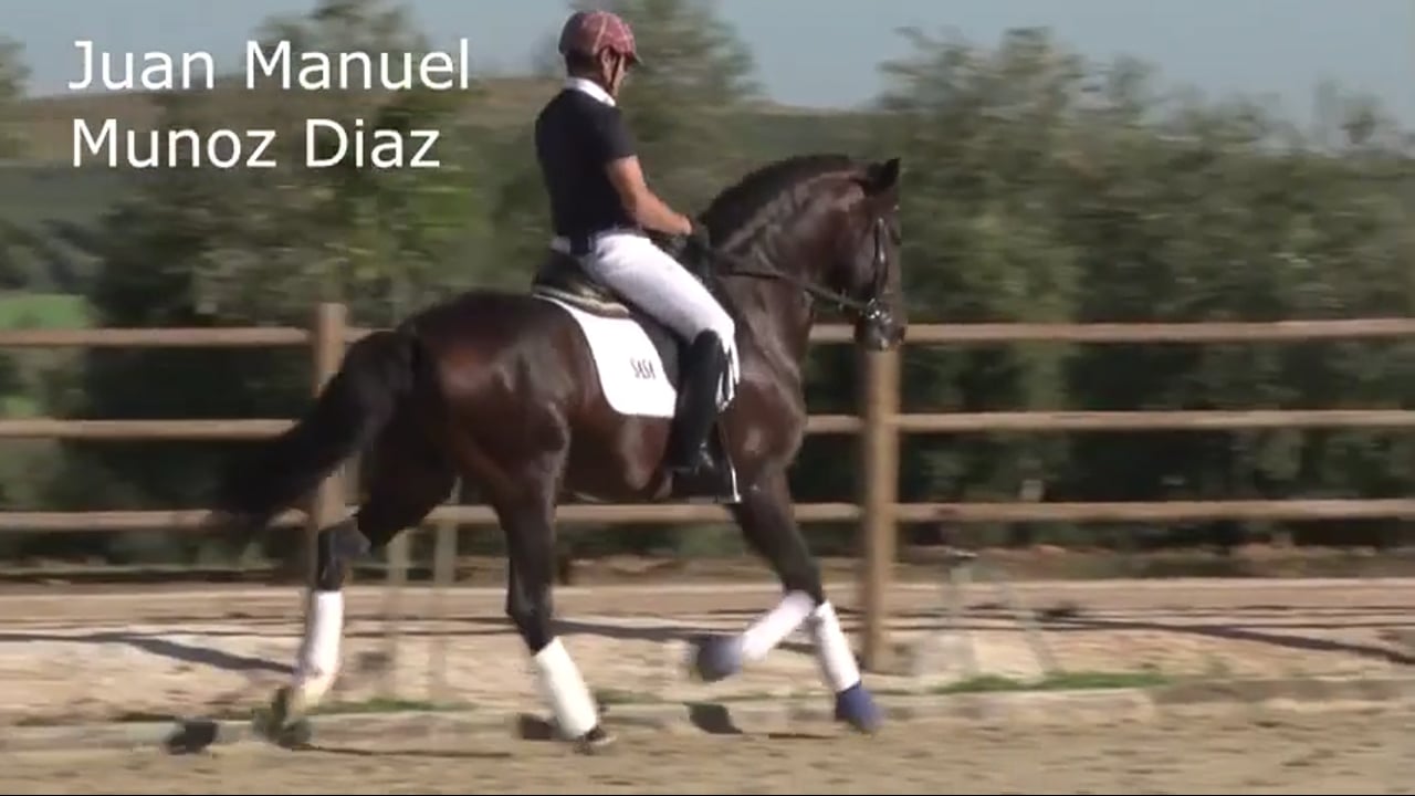 Five Year Old | Juan Manuel Muñoz Díaz | PART 02