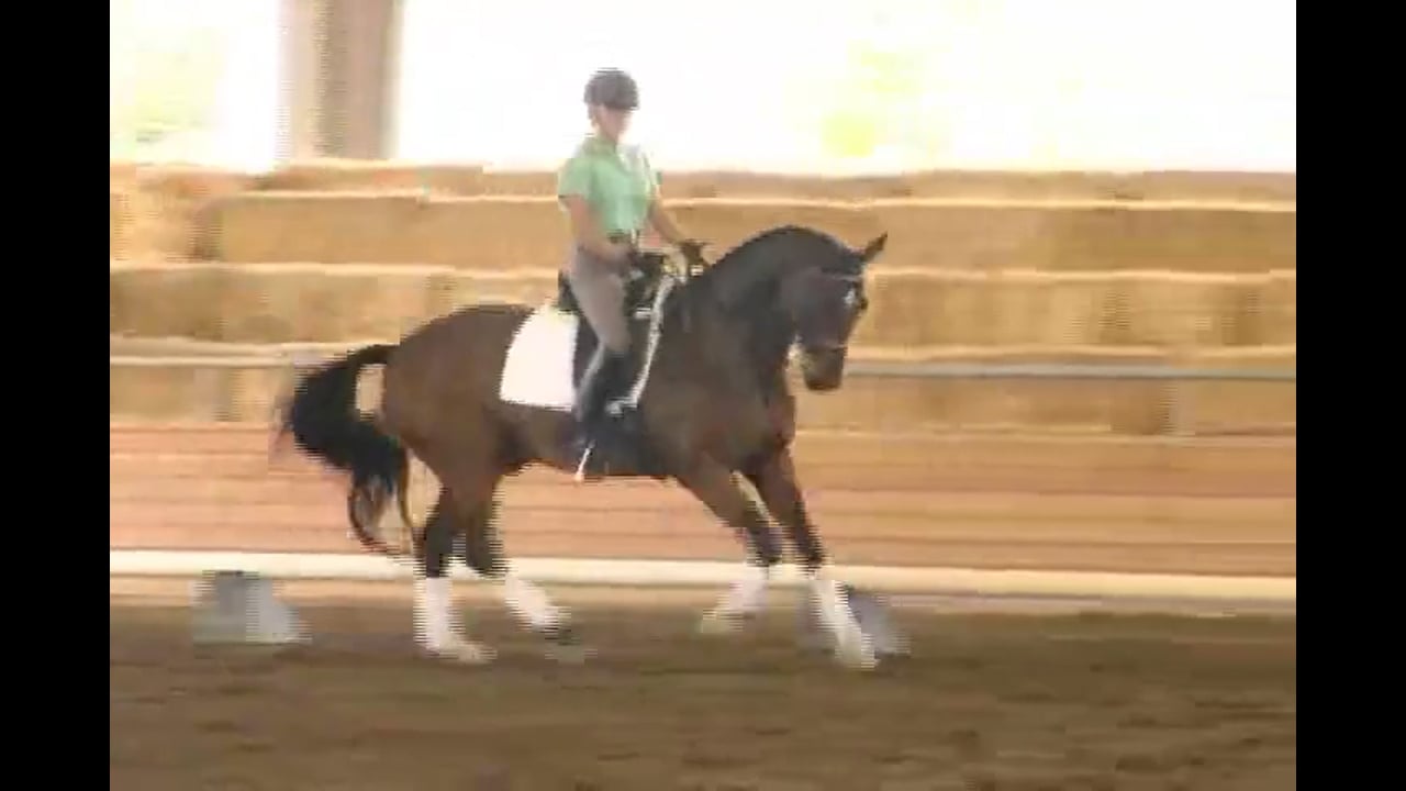 2007 Succeed/USDF FEI Level Trainer's Conference, Day 1 | Jan Brink | PART 02