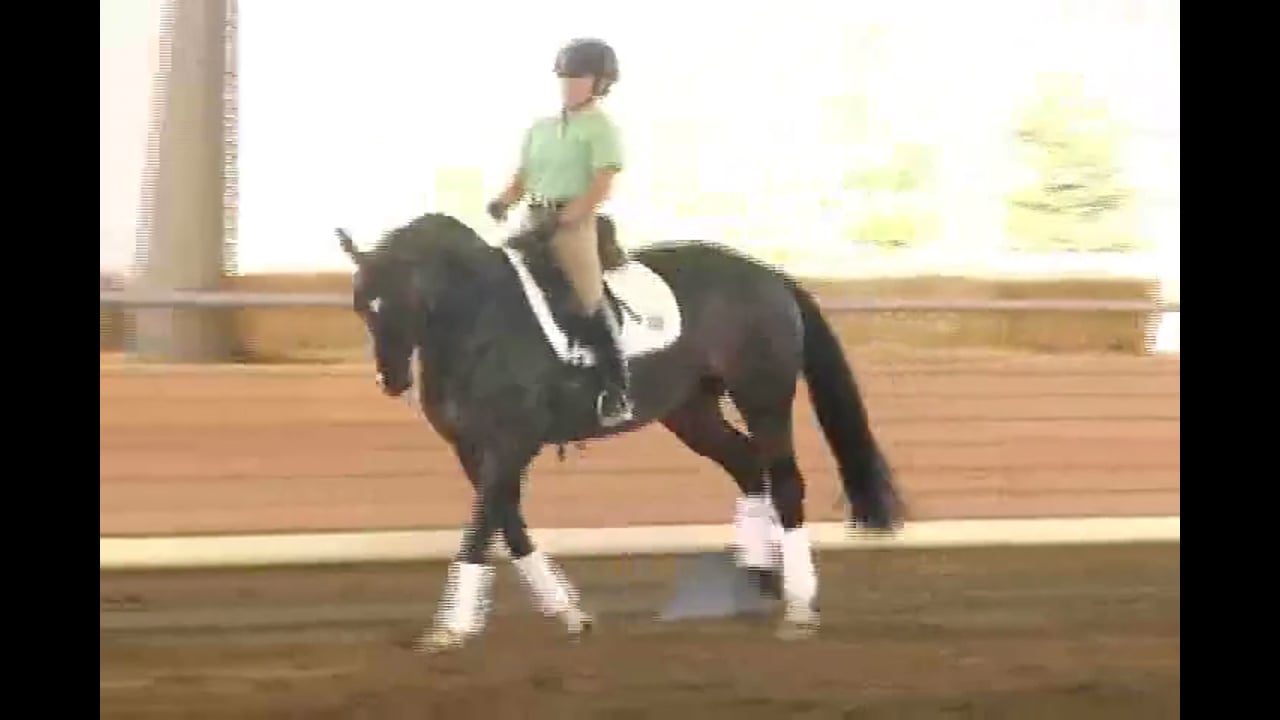 2007 Succeed/USDF FEI Level Trainer's Conference, Day 1 | Jan Brink