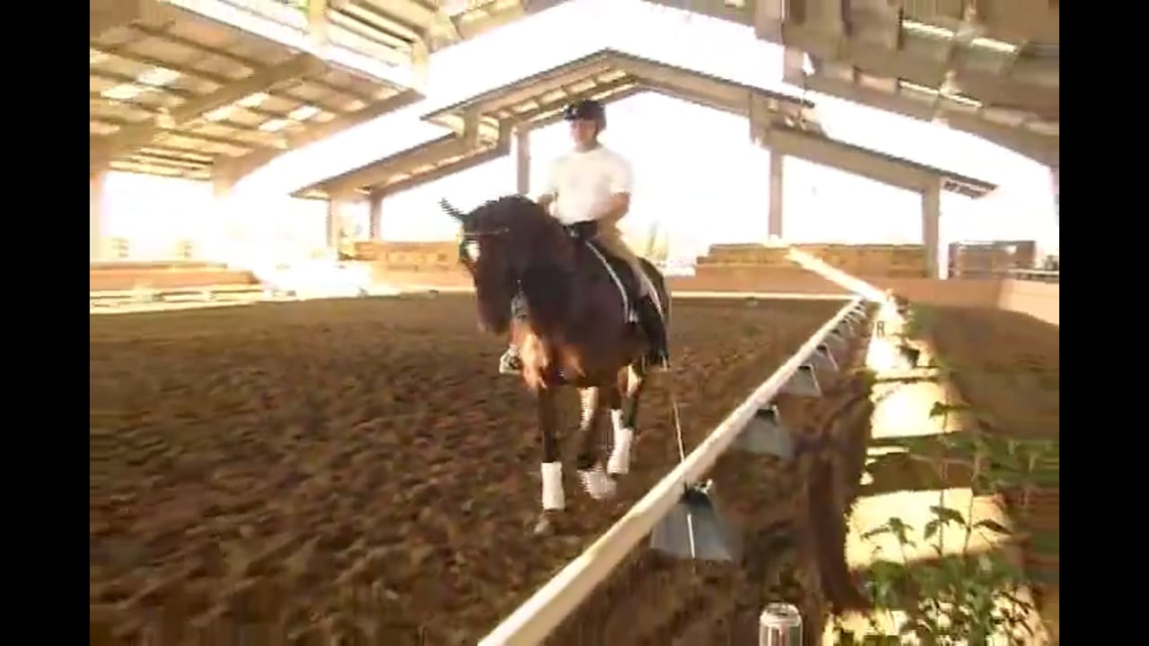 2007 Succeed/USDF FEI Level Trainer's Conf, Day 1, Jeremy | Jan Brink | PART 03