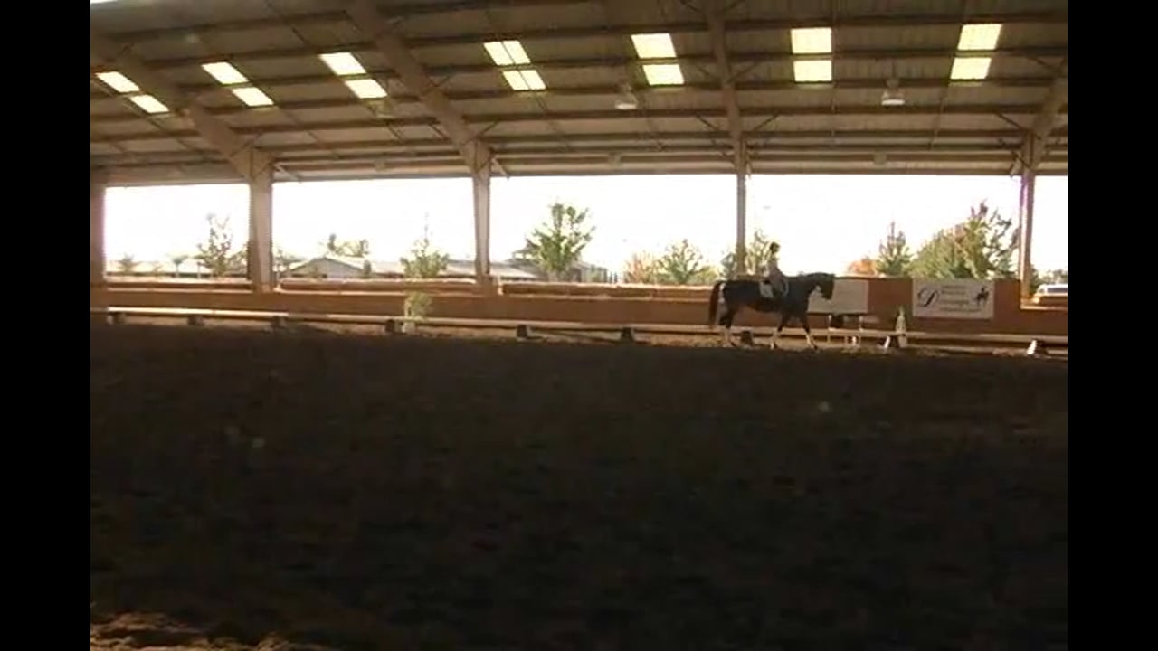2007 Succeed/USDF FEI Level Trainer's Conf, Day 1, Jeremy | Jan Brink | PART 02