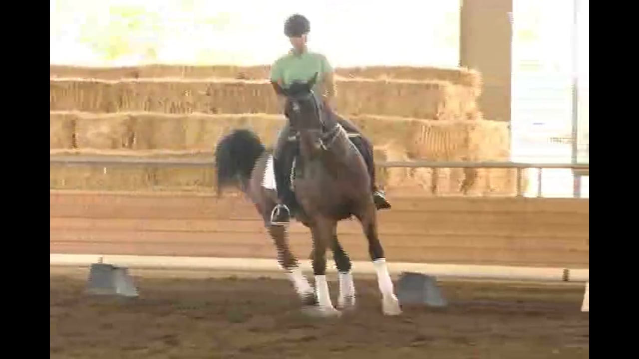2007 Succeed/USDF FEI Level Trainer's Conf, Day 1 | Tanya Vik | PART 02