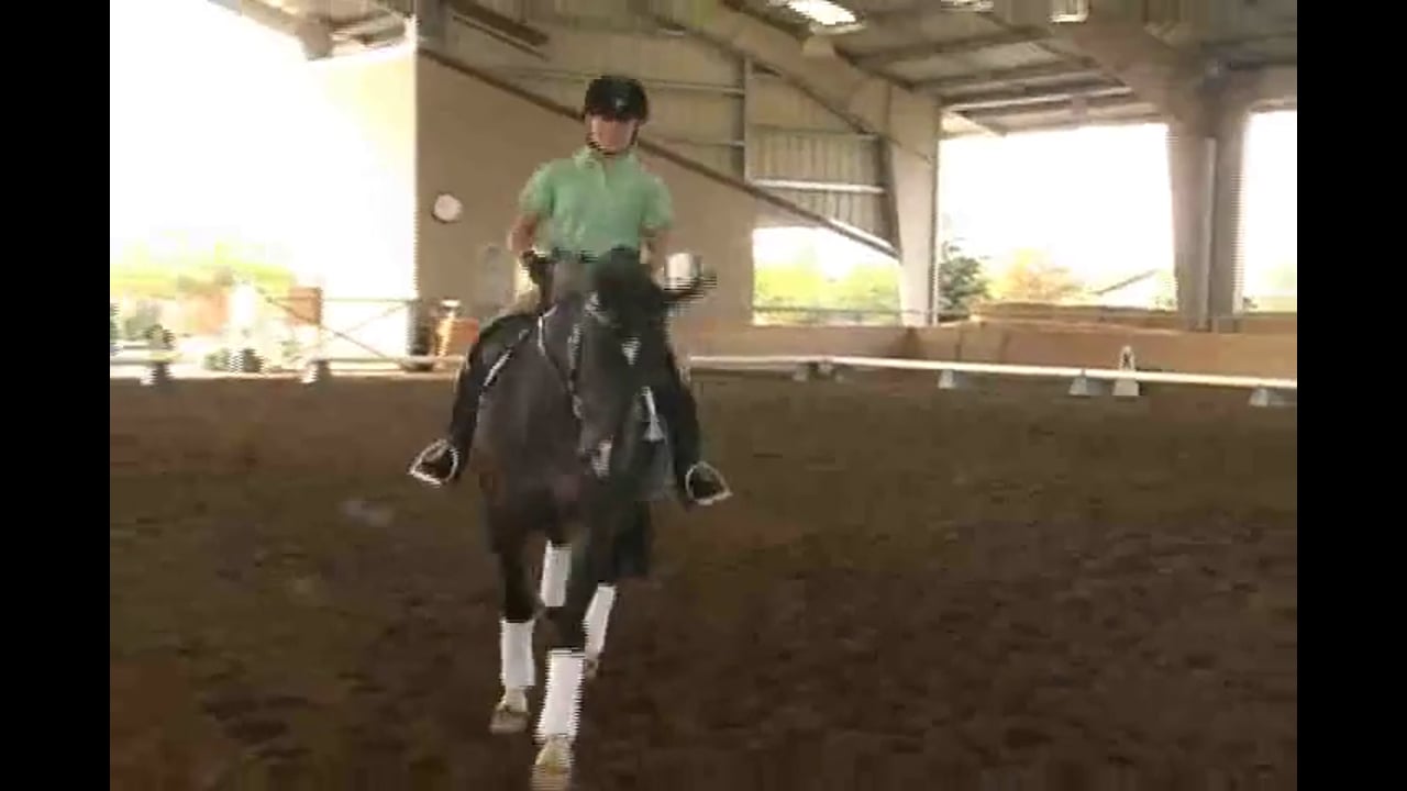 2007 Succeed/USDF FEI Level Trainer's Conf, Day 1, Taryn | Jan Brink | PART 01
