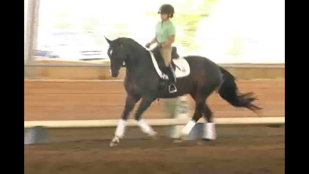 Succeed/USDF FEI Level Trainer's Conference, Taryn, Day 1, Part 2, Featuring Jan