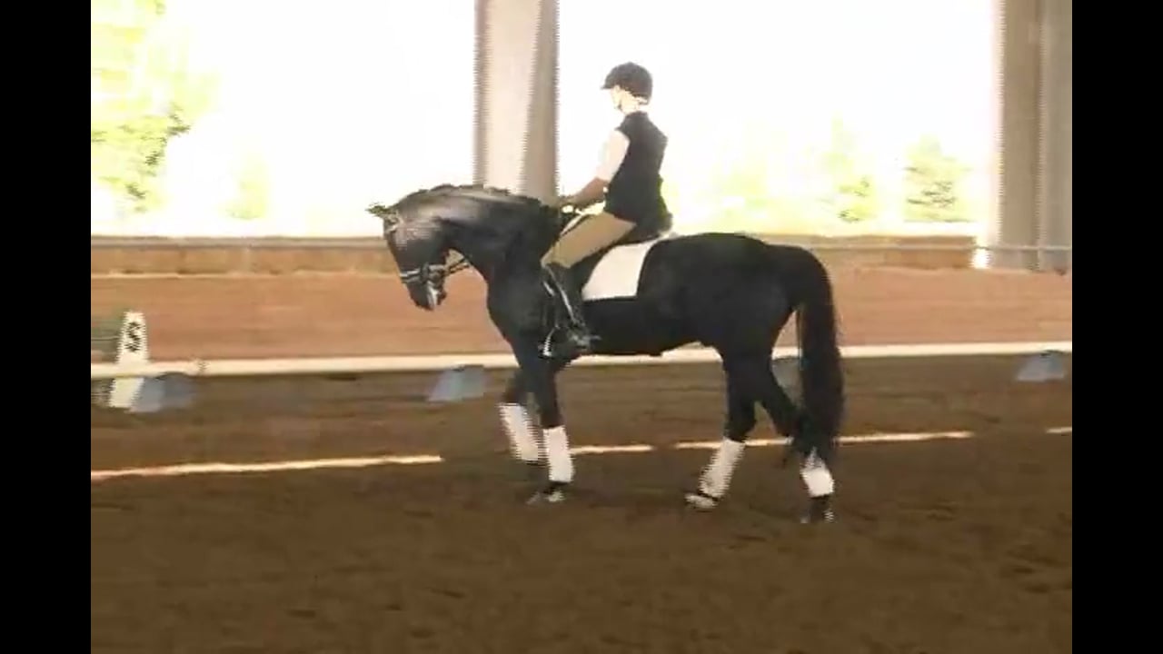 2007 Succeed/USDF FEI Level Trainer's Conf, Day 2, Heather | Jan Brink | PART 02