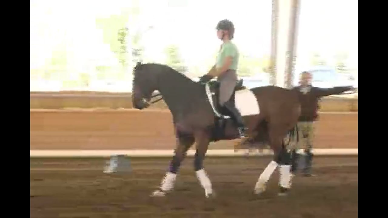 2007 Succeed/USDF FEI Level Trainer's Conf, Day 1, Dirk | Jan Brink | PART 02