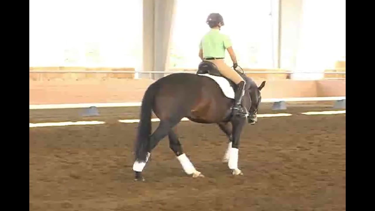 Succeed/USDF FEI Level Trainer's Conference, Taryn, Day 2, Part 1, Featuring Jan