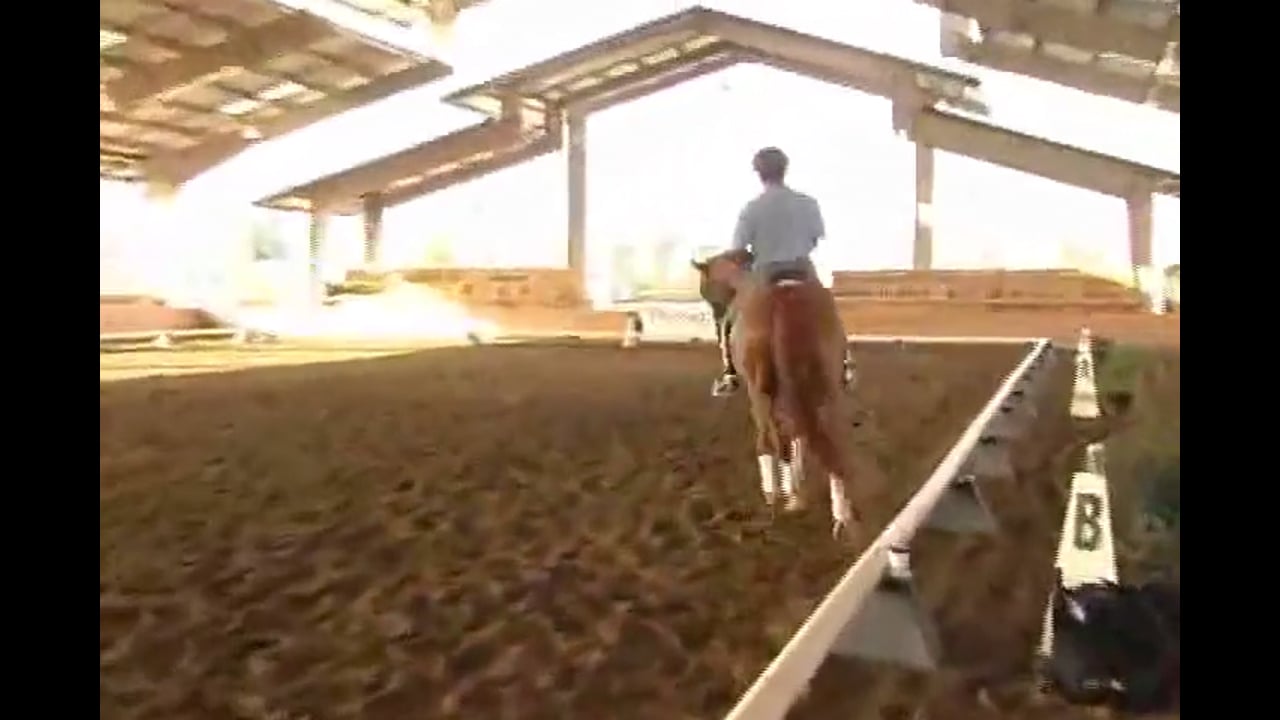 Succeed/USDF FEI Level Trainer's Conf. Day 1 | Michael Etherly | PART 01