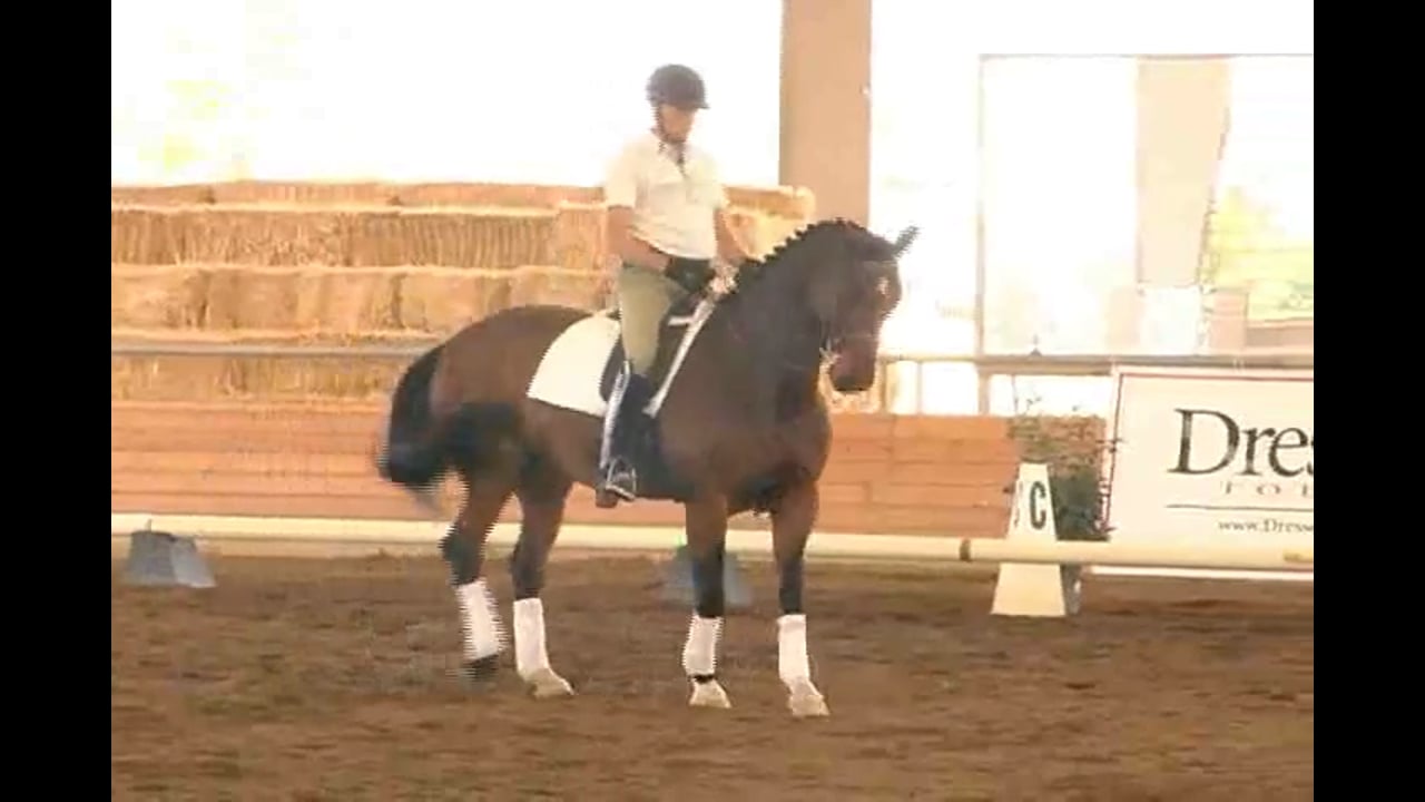 2007 Succeed/USDF FEI Level Trainer's Conference, Day 1 | Jan Brink | PART 01