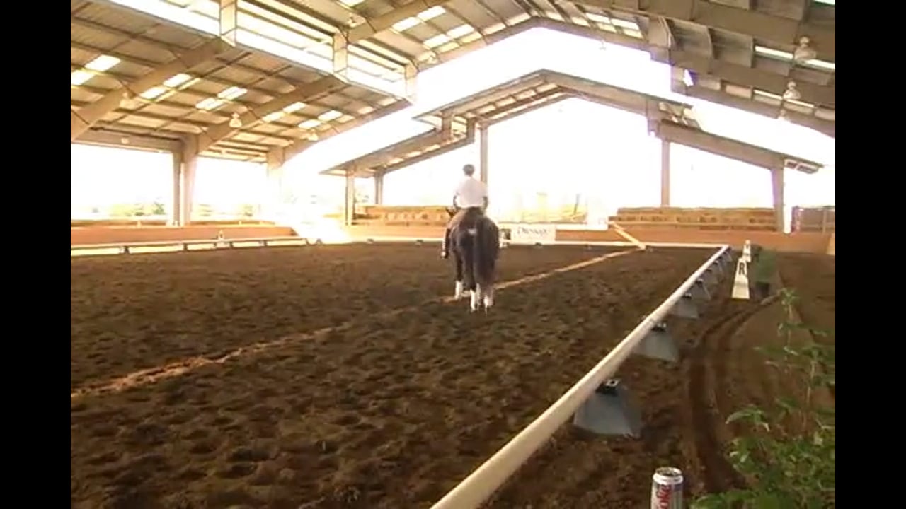 2007 Succeed/USDF FEI Level Trainer's Conf, Day 1, Jeremy | Jan Brink | PART 01