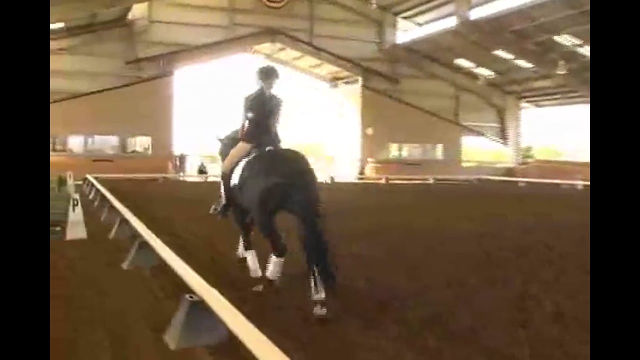 2007 Succeed/USDF FEI Level Trainer's Conf, Day 2, Heather | Jan Brink | PART 03