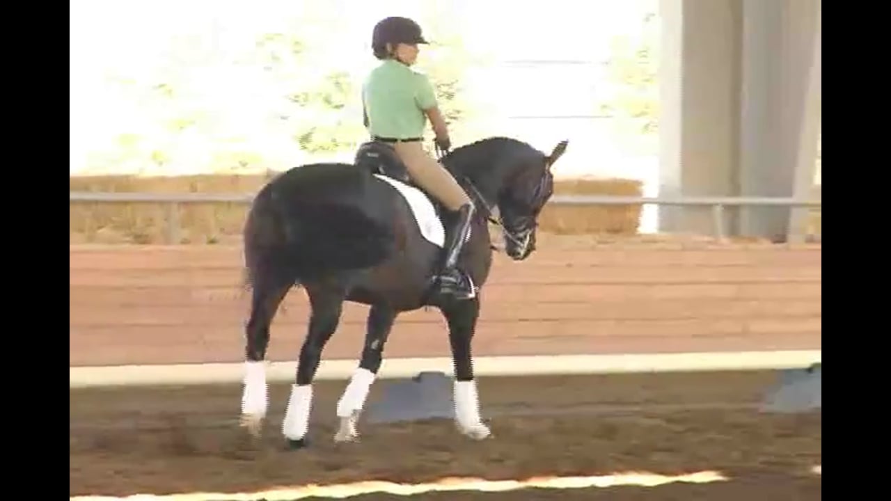 Succeed/USDF FEI Level Trainer's Conference, Taryn, Day 2, Part 2, Featuring Jan