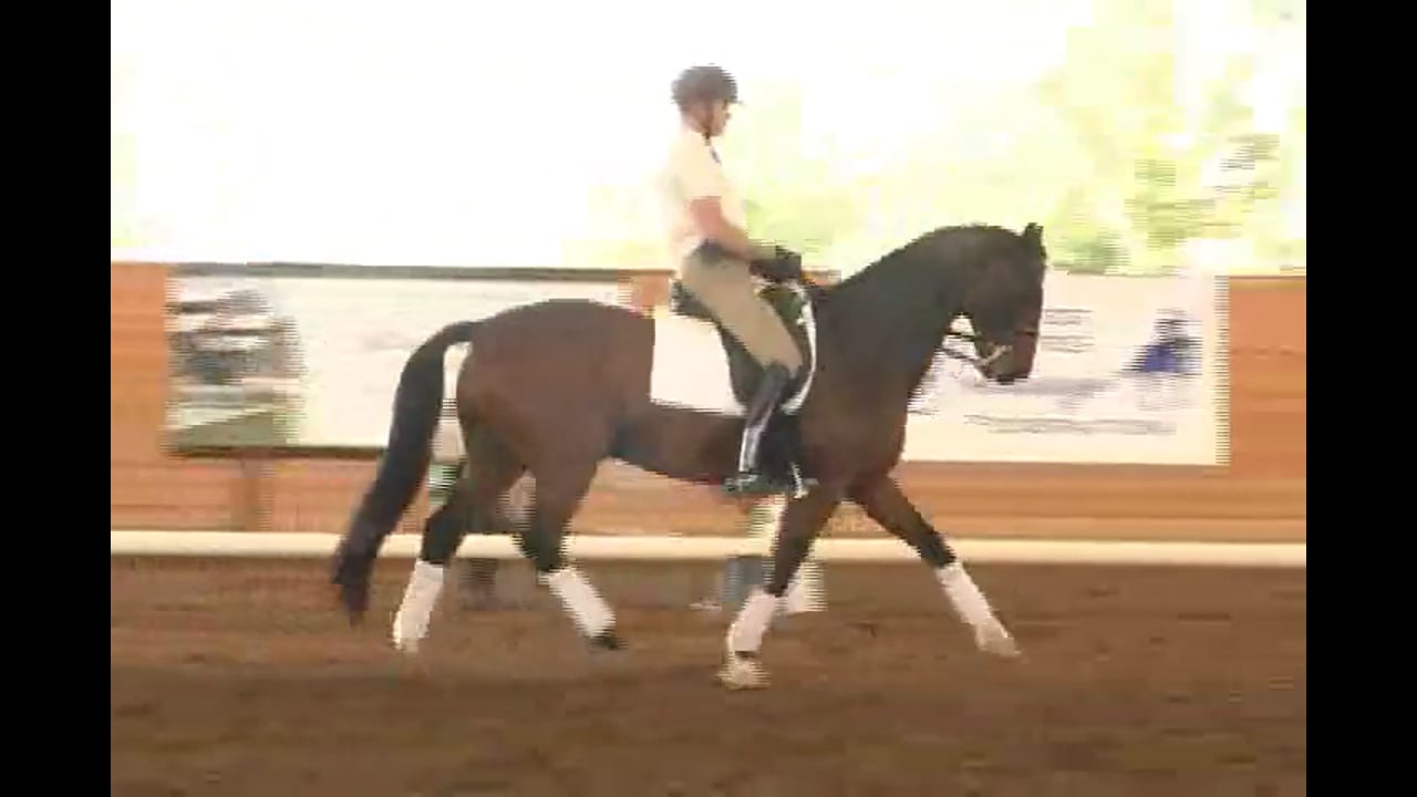 2007 Succeed/USDF FEI Level Trainer's Conf, Day 1 | Tanya Vik | PART 03