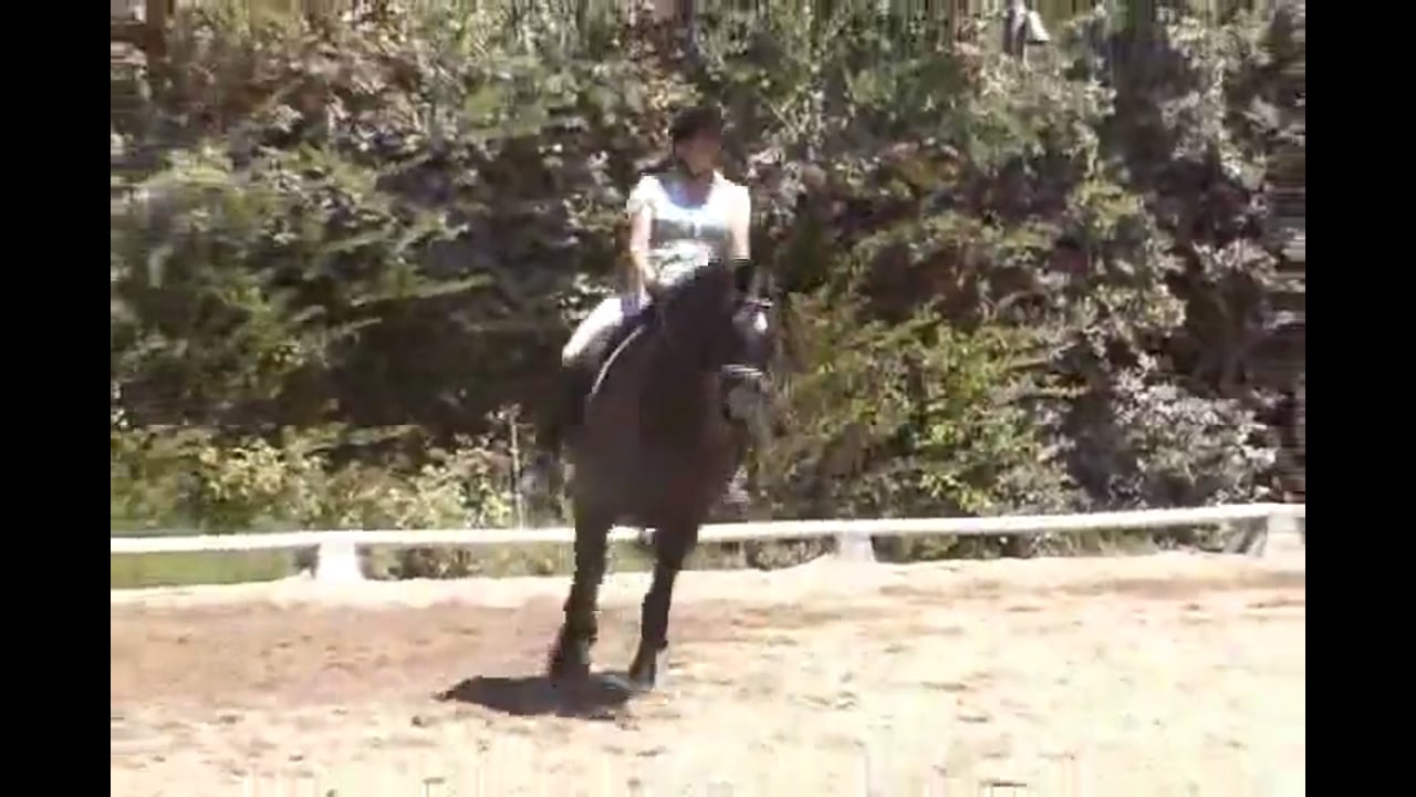 Suppleing, using your seat properly as an aid. First level movements, and getti