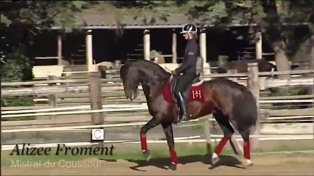 Suppleness, Freedom, Passage and Piaffe | Alizee Froment | PART 06