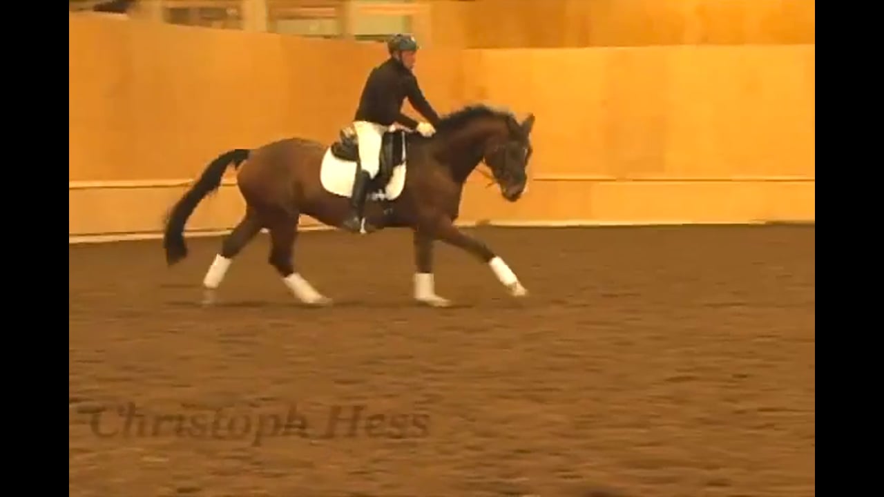 Five Year Old: Suppleness, Stretch | Christoph Hess | PART 02